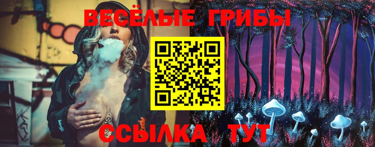 Псилоцибиновые грибы мицелий  Вход с VPN  Галлюциногенные грибы прущие грибы  Комсомольск-на-Амуре 